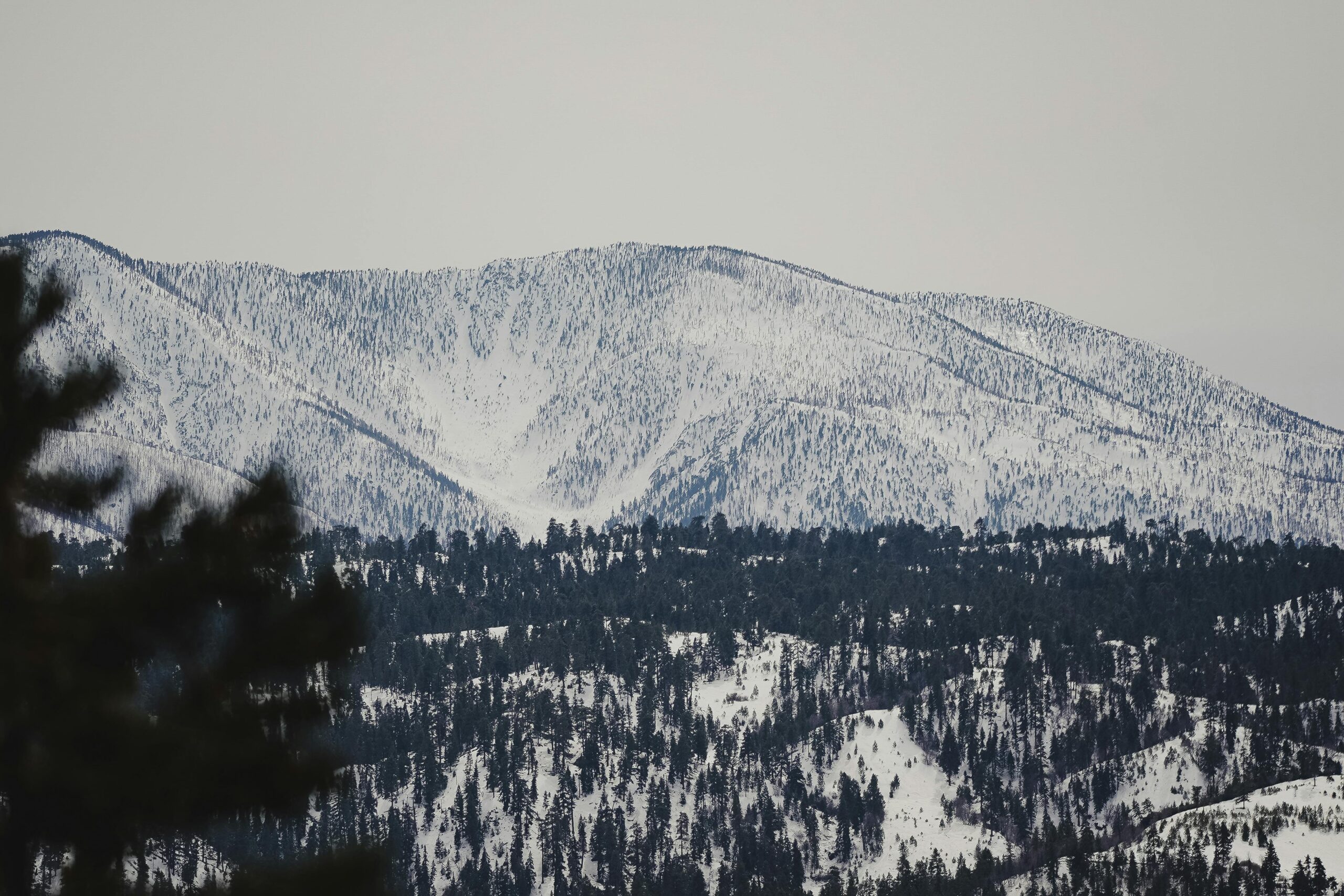 Big Bear Winter Weather by Month: What Residents Actually Experience